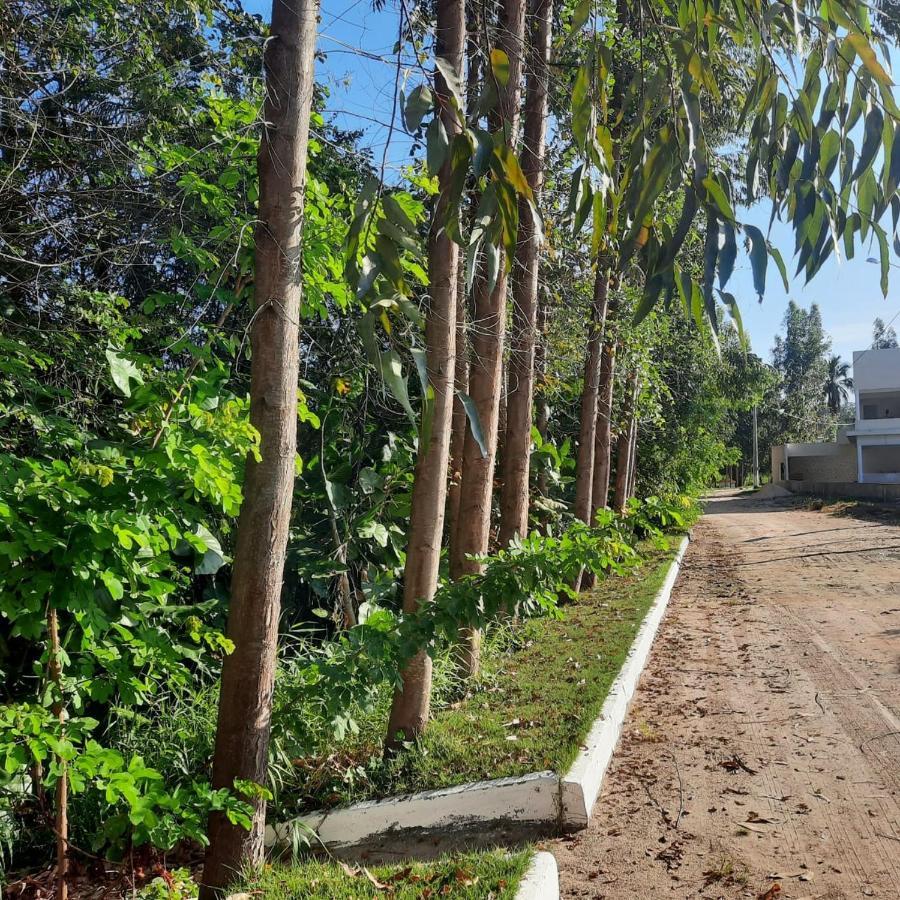 VIVA! 1 Casa Nova em condomínio entre Maragogi e Carneiros São José da Coroa Grande Exterior foto